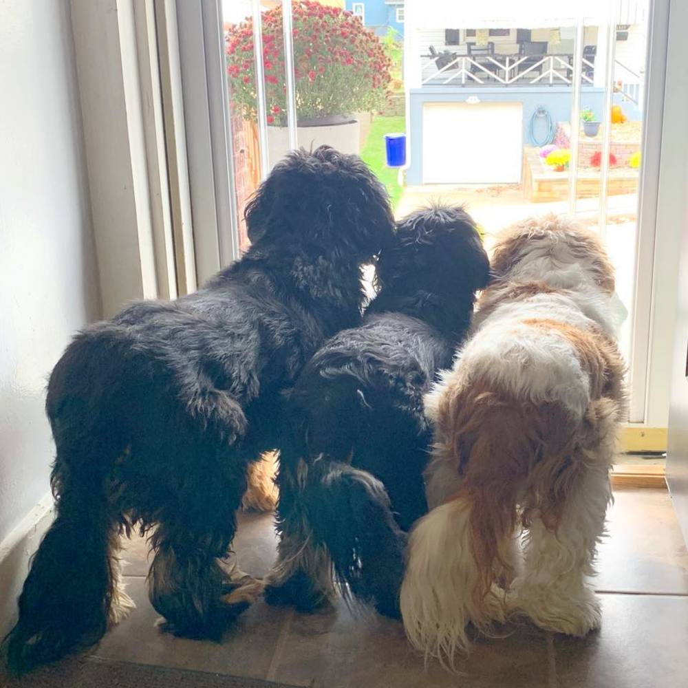 Meet your Posher, John